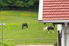 1_20250527_18_37_45-2