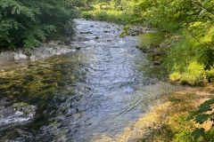 20250609 GravelDalsensattel