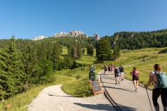 20250621 Sonnwendfeuer