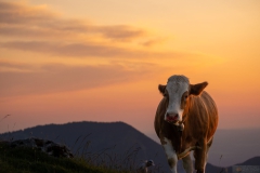 1_20250621_21_09_05-2