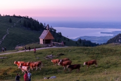 1_20250621_21_35_14-4