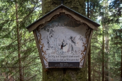 20250628 Sonnwendwand