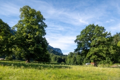 20250720 Möslarnalm