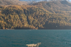 1_20251017_16_02_20-2