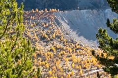 1_20251018_12_00_14