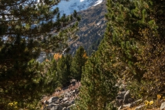 1_20251018_12_07_50-2