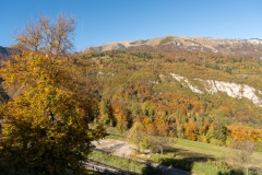 1_20251026_11_31_53