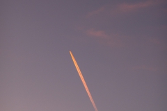 20251127_16_37_04.jpg
