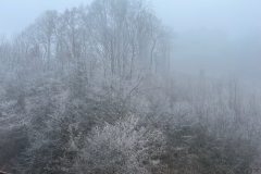 20251222 Weihnachten