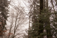 20251230_12_43_53.jpg