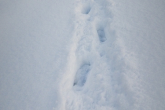 20260103_13_16_39.jpg
