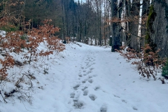 20260109_15_36_11.jpg