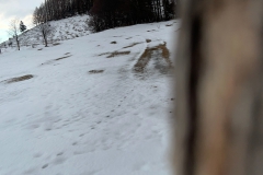 20260109_16_16_35.jpg