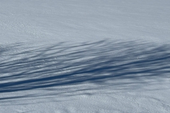 20260131_11_01_39.jpg