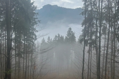 20260411 TrailrunReitweg