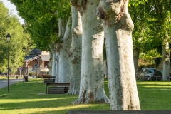 20260515_09_53_02.jpg