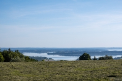 20260608 Reitweg
