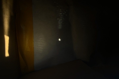 20260812_19_56_20.jpg