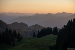 20260813_20_11_31.jpg