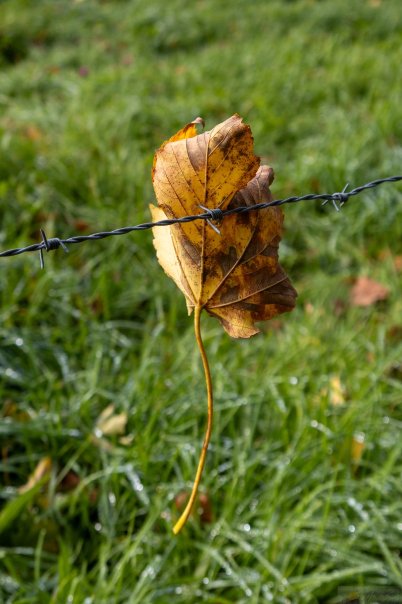 03.10.2025: Start in Aschau