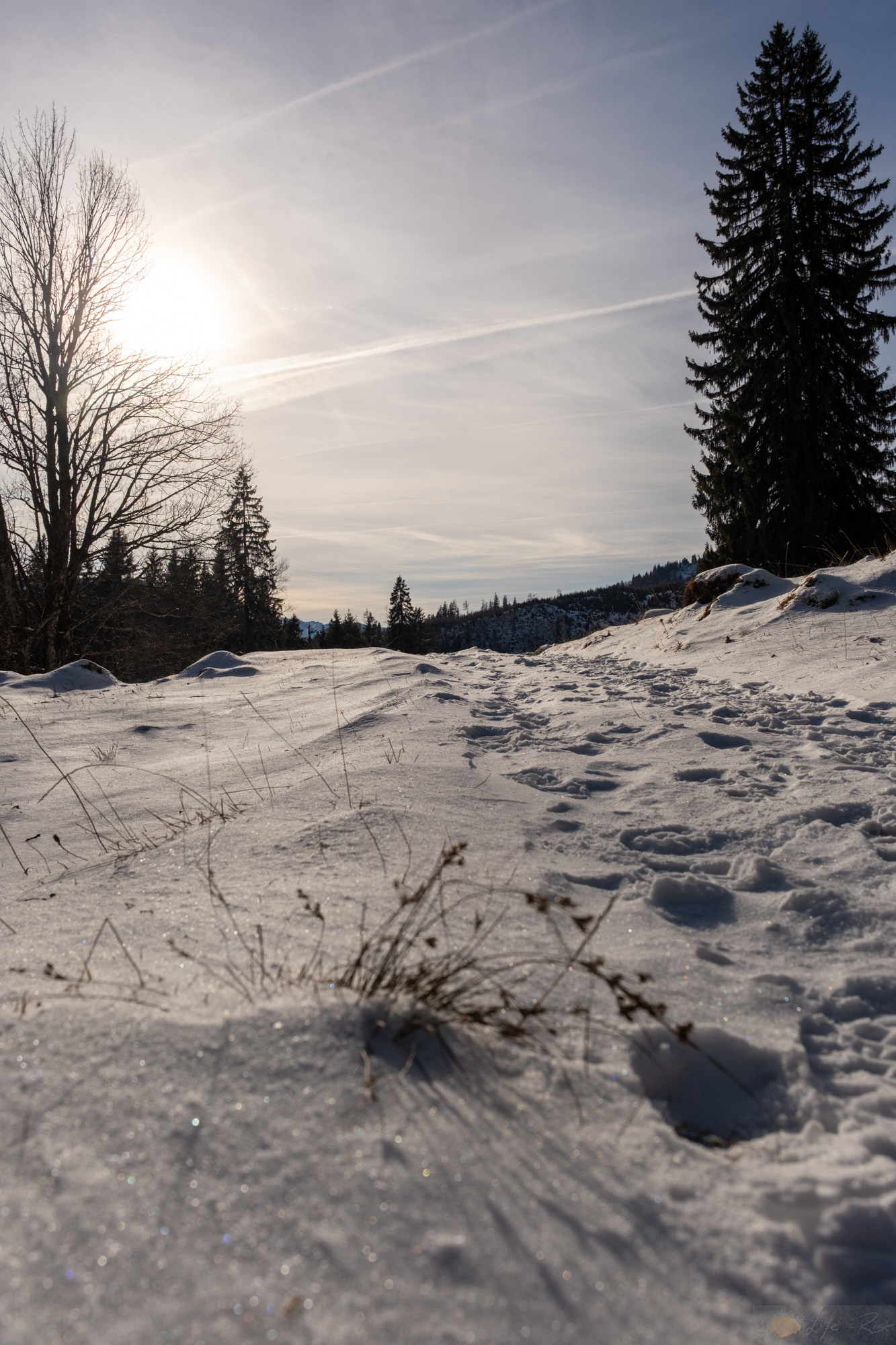 01.01.2026: Ellandalm