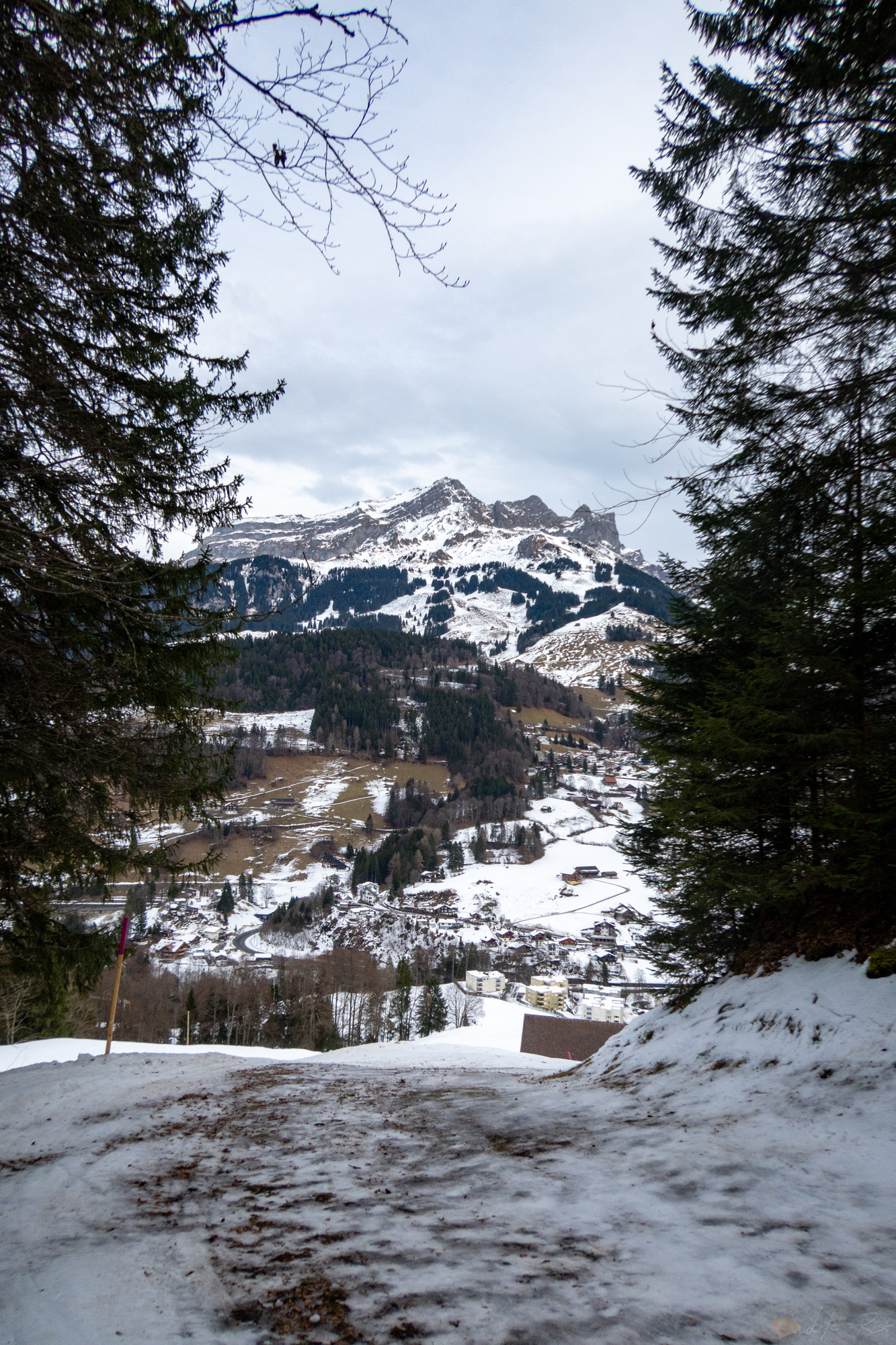 17.01.2026: Trübsee