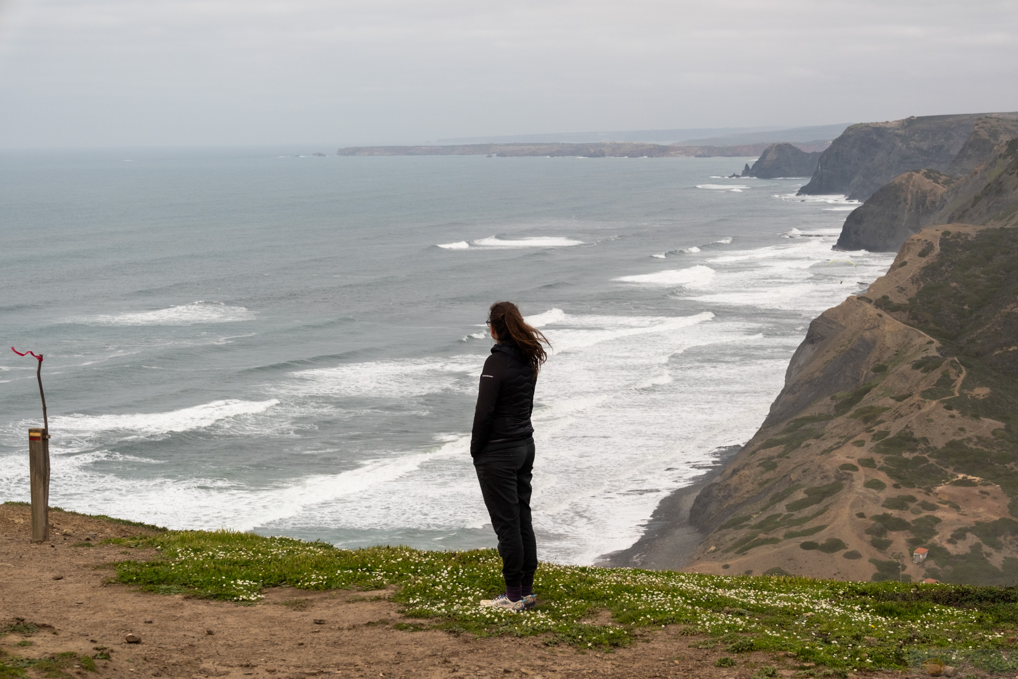 17.02.2026: Cordoama