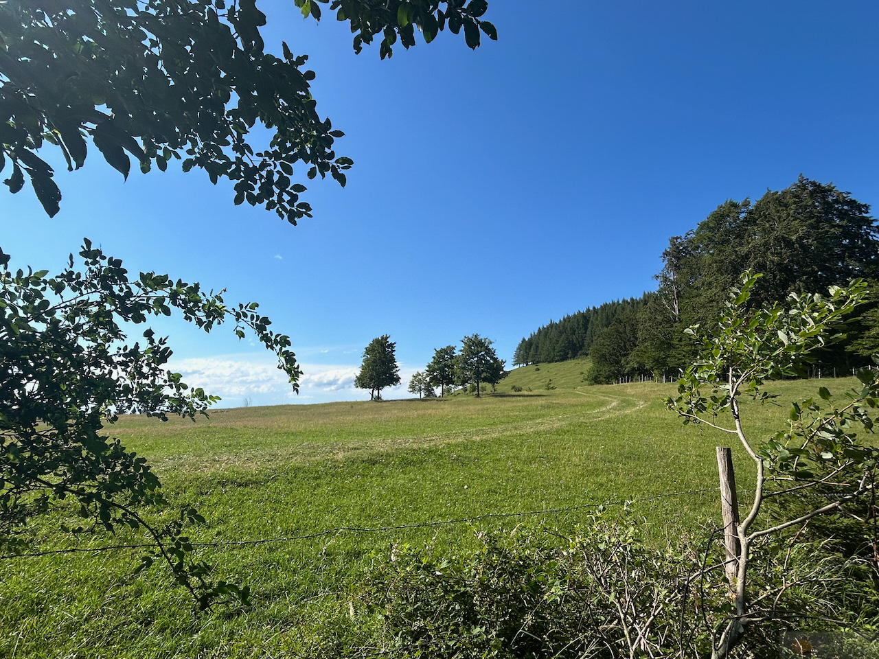 17.07.2026: Hofalm